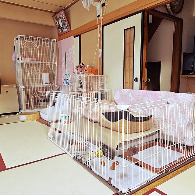 animaruloveさんの実例写真