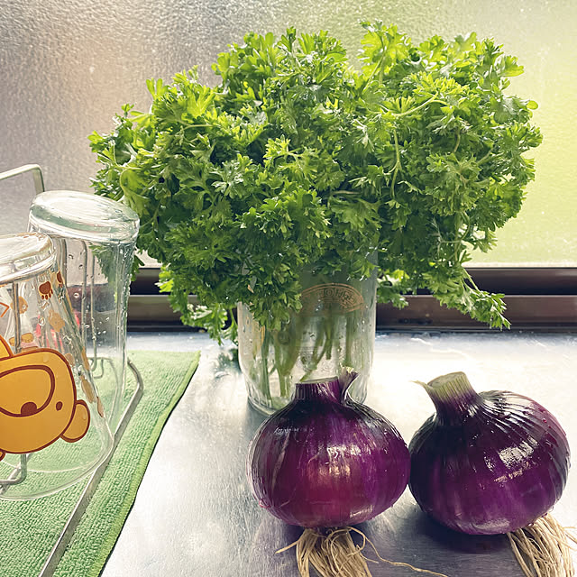 moriさんの実例写真