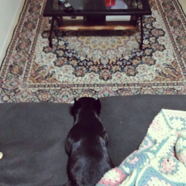 nicomaruさんの実例写真