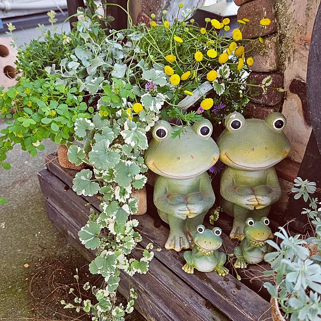 mocomocoさんの部屋