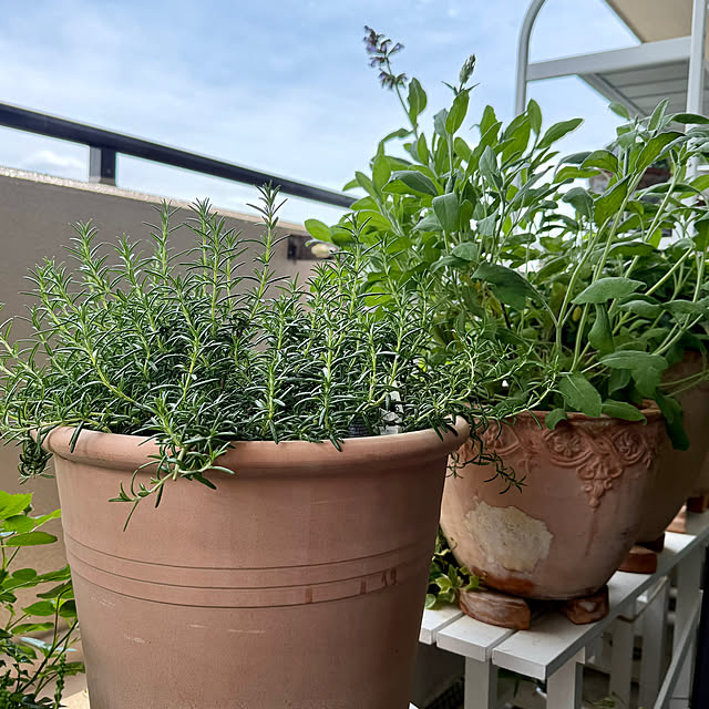 yasuyo66さんの実例写真