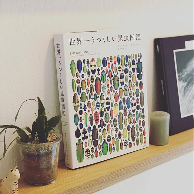 ginanagiさんの実例写真
