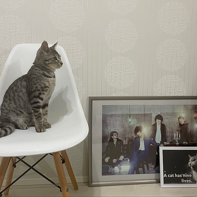 Nishitanyさんの実例写真