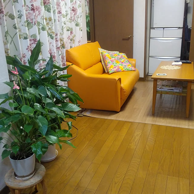 tomoko.tk1130Tomさんの実例写真