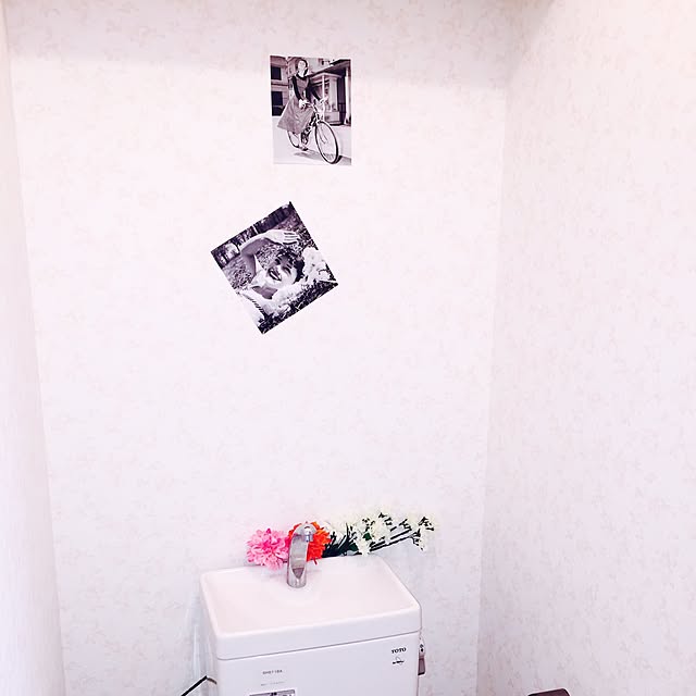 harukaさんの実例写真