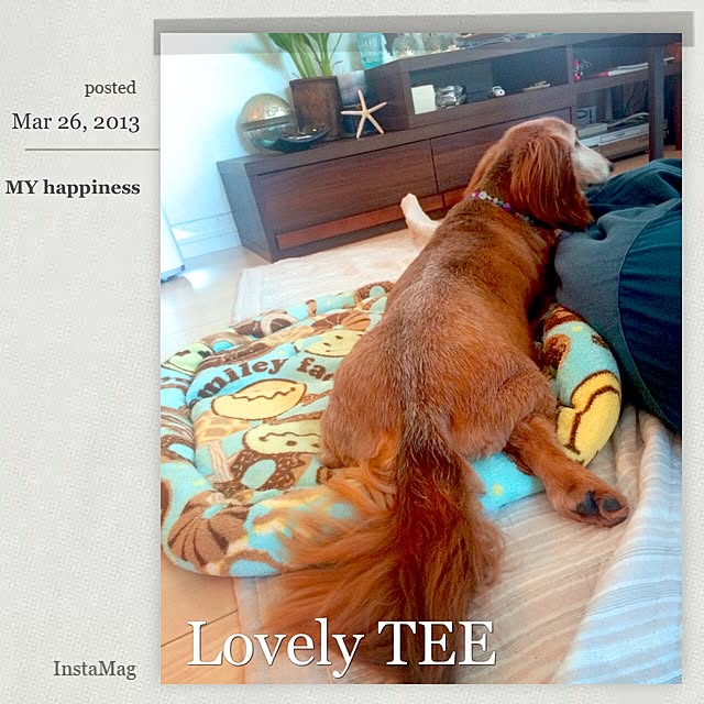 maiteeさんの実例写真