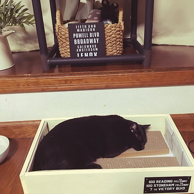 mahi1101さんの実例写真