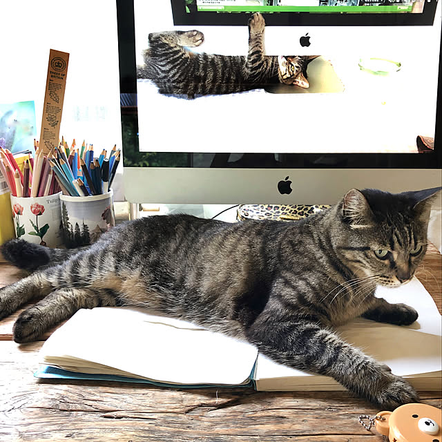weさんの実例写真