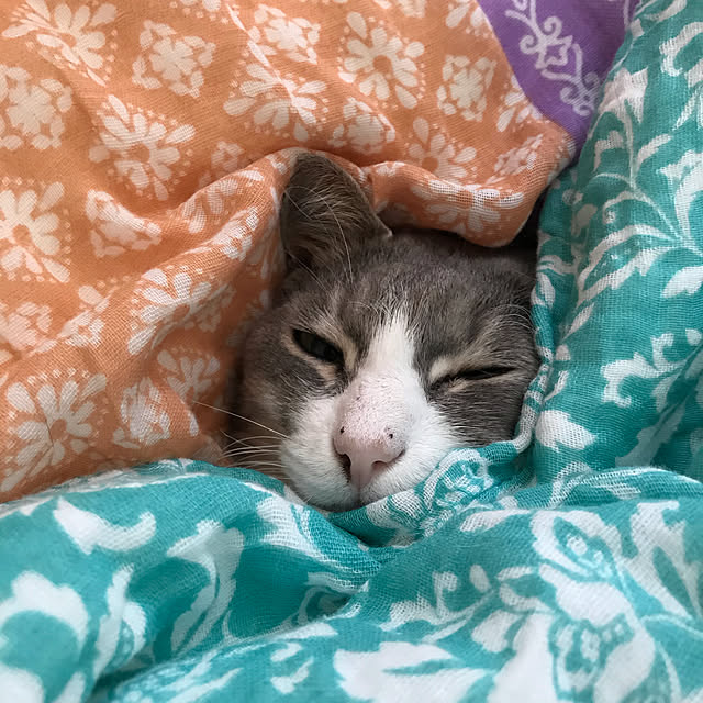 Yokoさんの実例写真