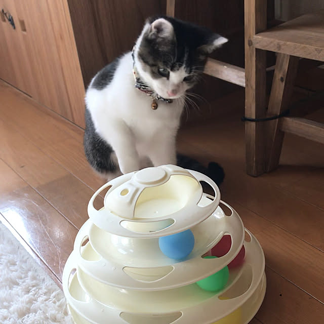 Akiさんの実例写真