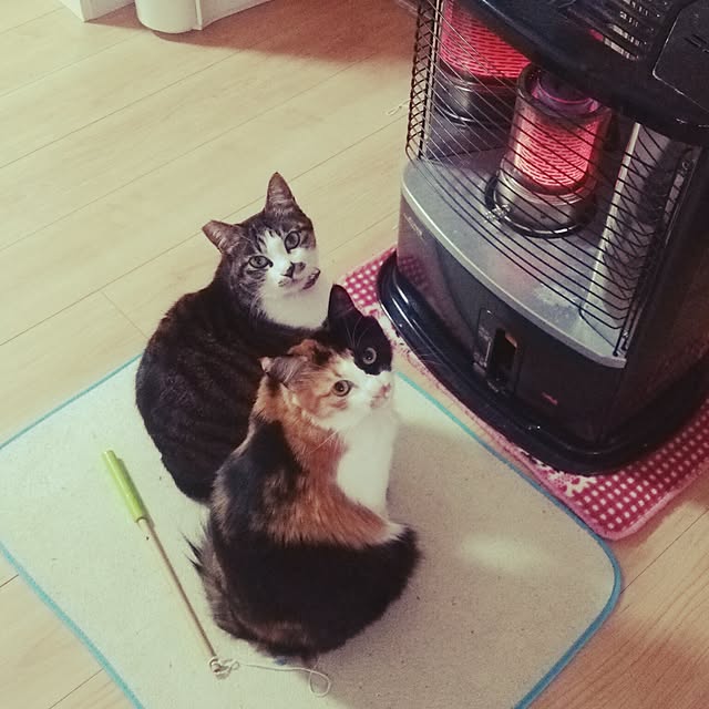 kiyohima229さんの実例写真