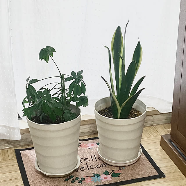 YuuKoさんの実例写真