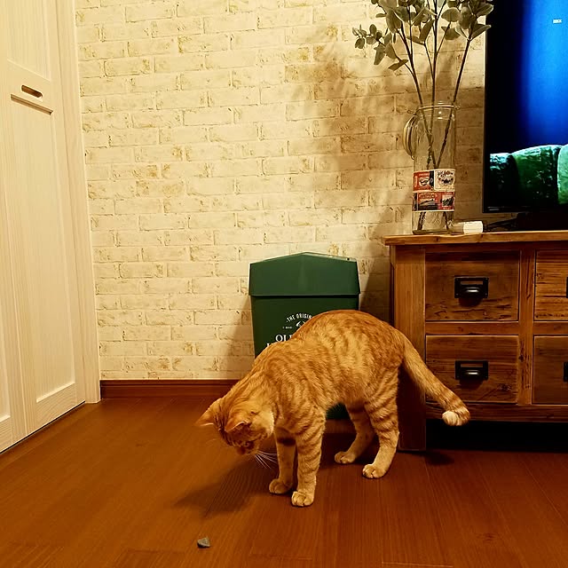C.Tさんの実例写真