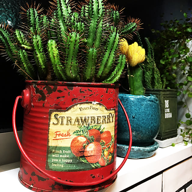 棚/観葉植物/雑貨のインテリア実例 - 2018-10-23 18:59:27