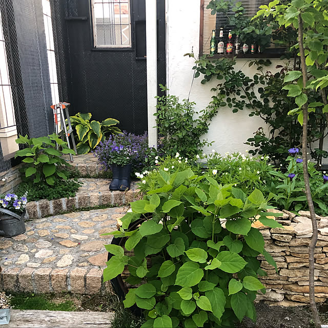 rinrinさんの実例写真