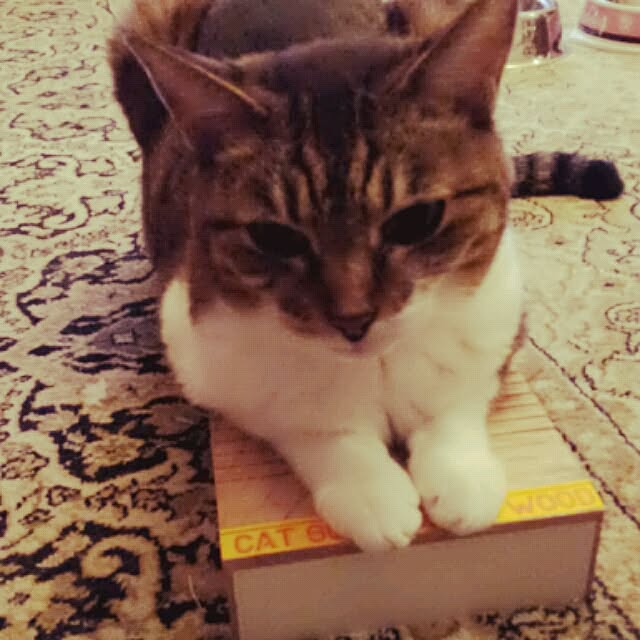 emmyyさんの実例写真