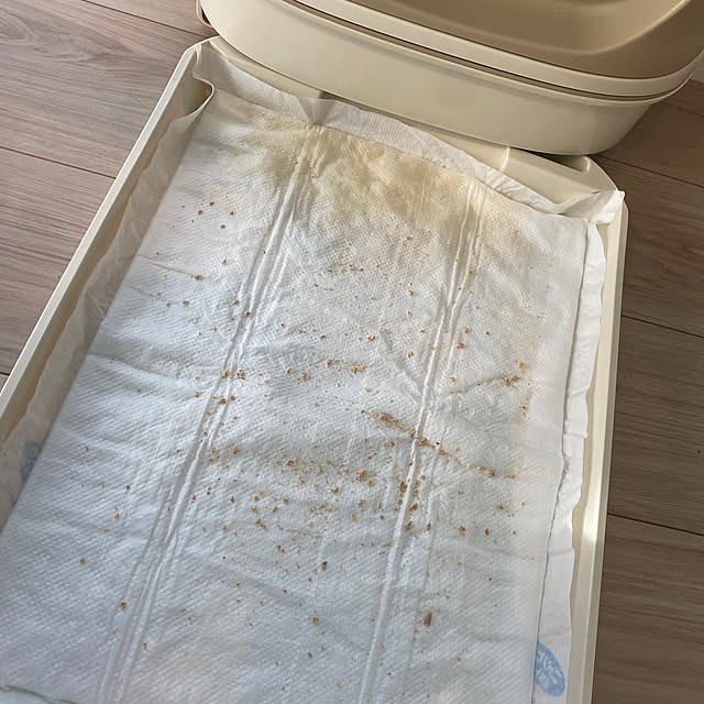 rengeさんの部屋