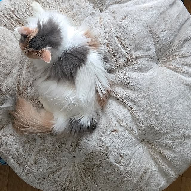 akiko6193さんの部屋