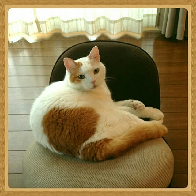 Rettiさんの実例写真
