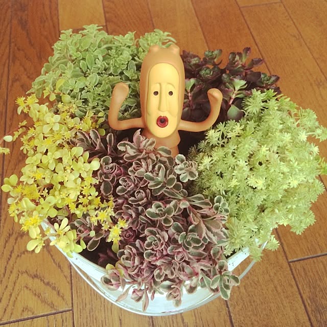 aksさんの実例写真