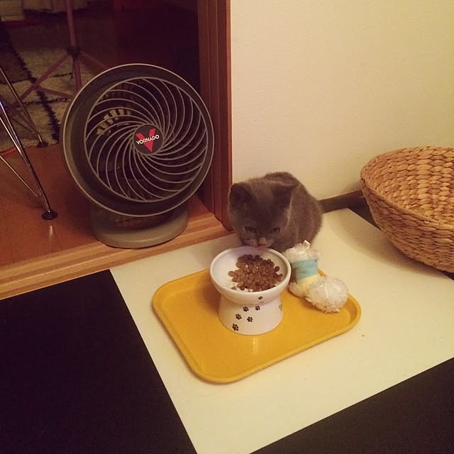 Shojiさんの実例写真