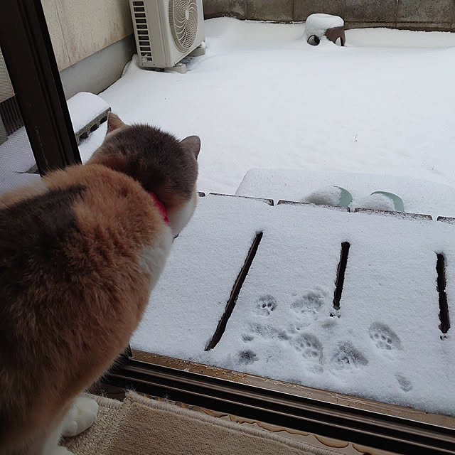 fukuさんの実例写真