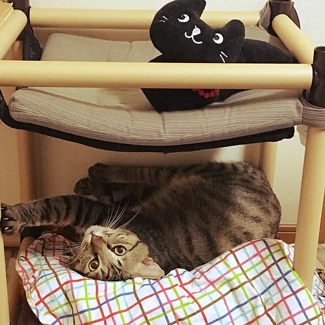 baronkotarouさんの実例写真