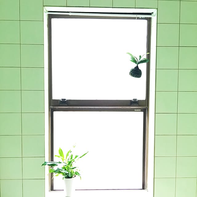 takaさんの実例写真