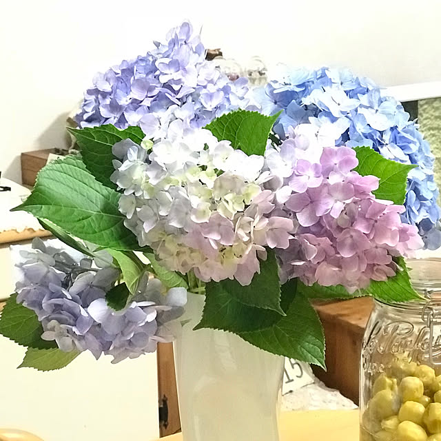 mockさんの実例写真