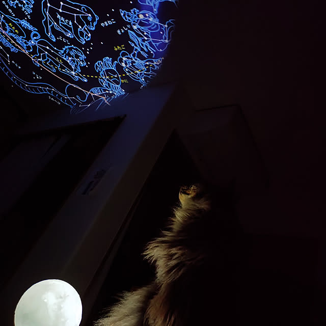 sayan_0321さんの実例写真