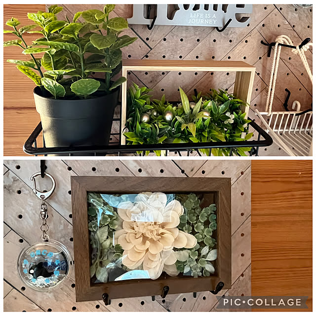 mogumoguさんの部屋