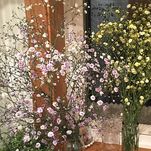 yukiさんの実例写真