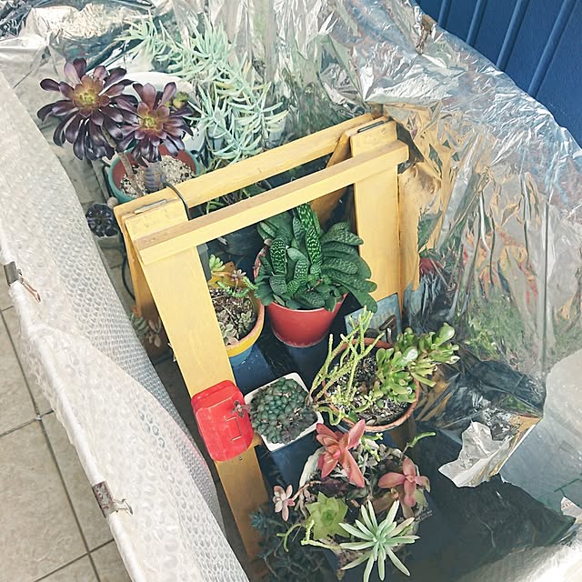 urchinさんの部屋