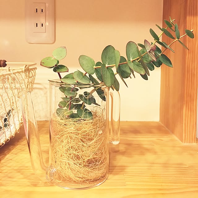 miniさんの実例写真