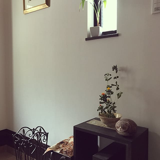 kjktさんの実例写真