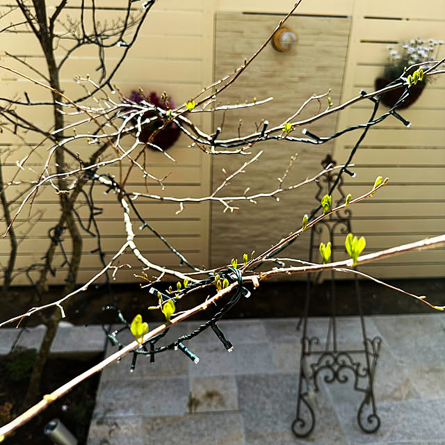 lemonadeさんの部屋