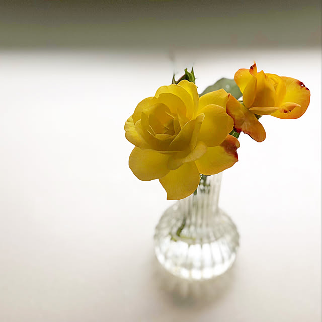 c.h.r1017さんの実例写真