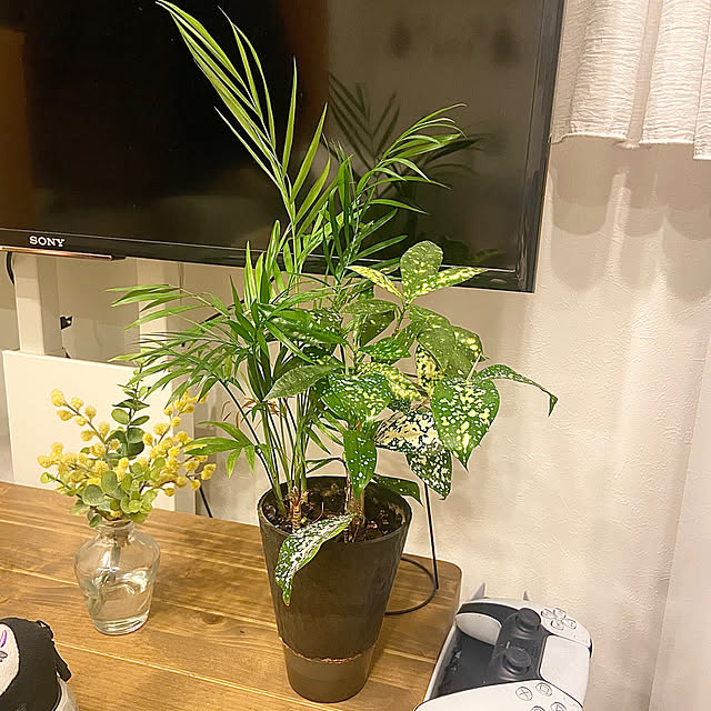 dorasanさんの部屋