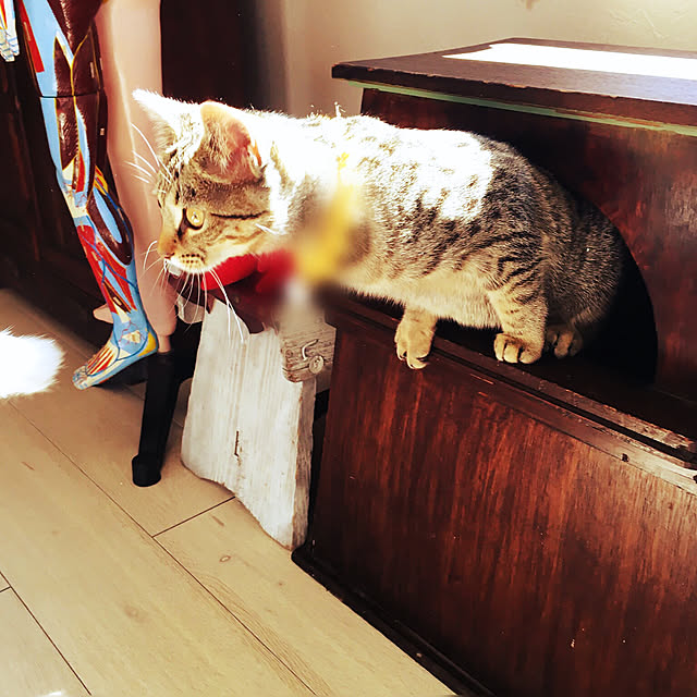 Mさんの実例写真