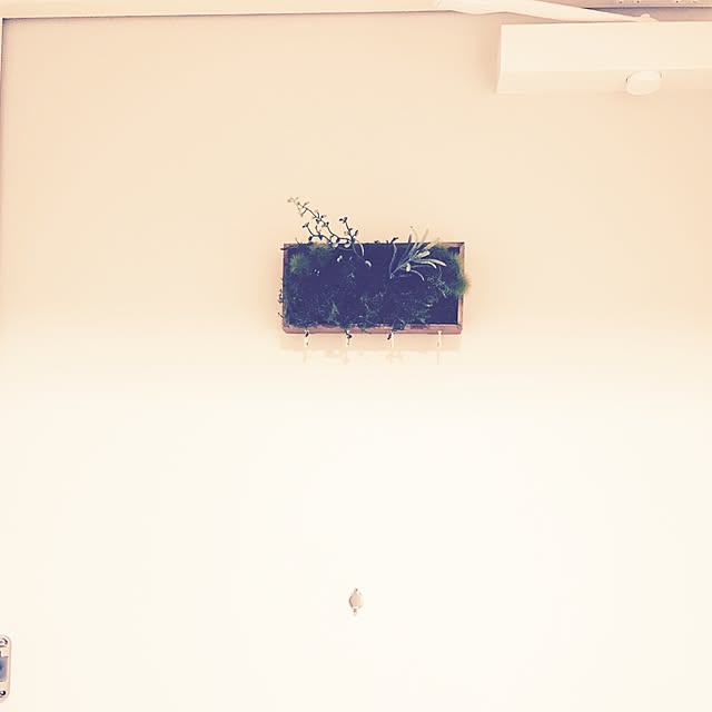 yudetama5さんの実例写真