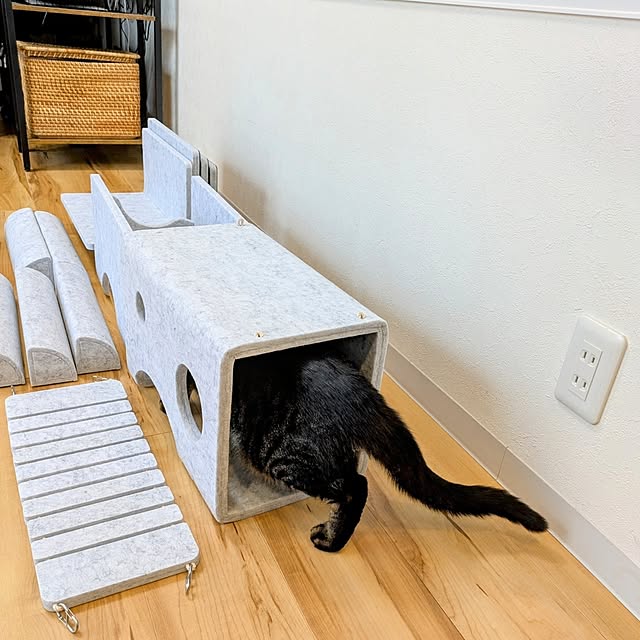 hihaさんの部屋