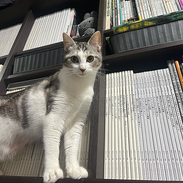 RUNRUNさんの実例写真