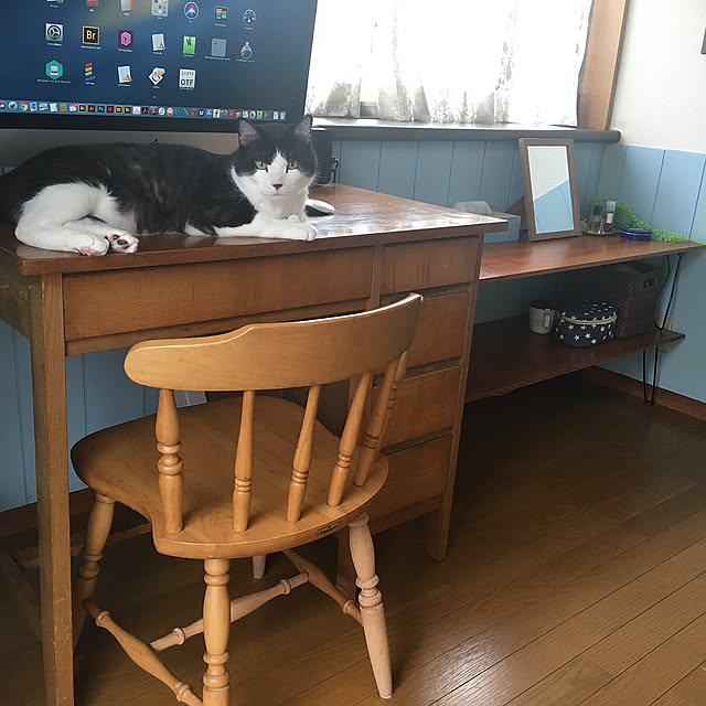 anさんの実例写真