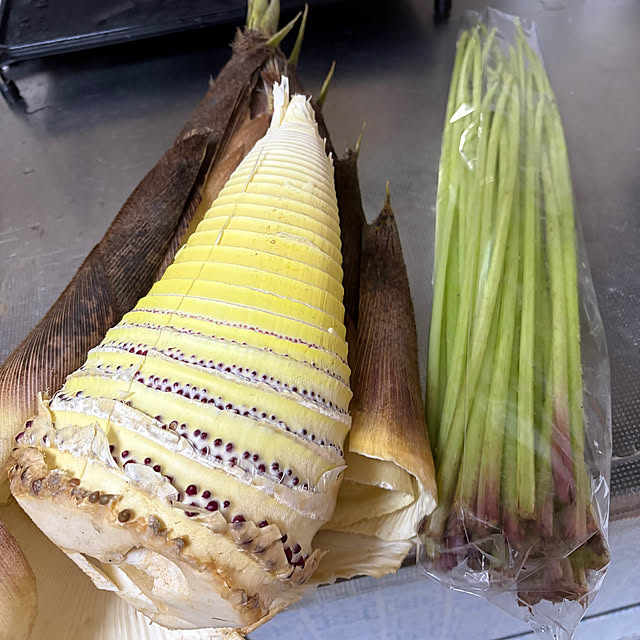 ritsukoさんの部屋