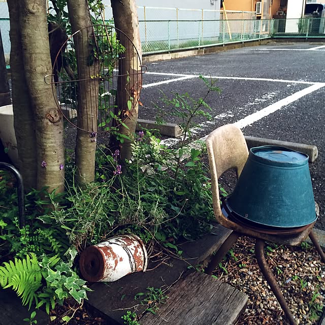 thunさんの実例写真