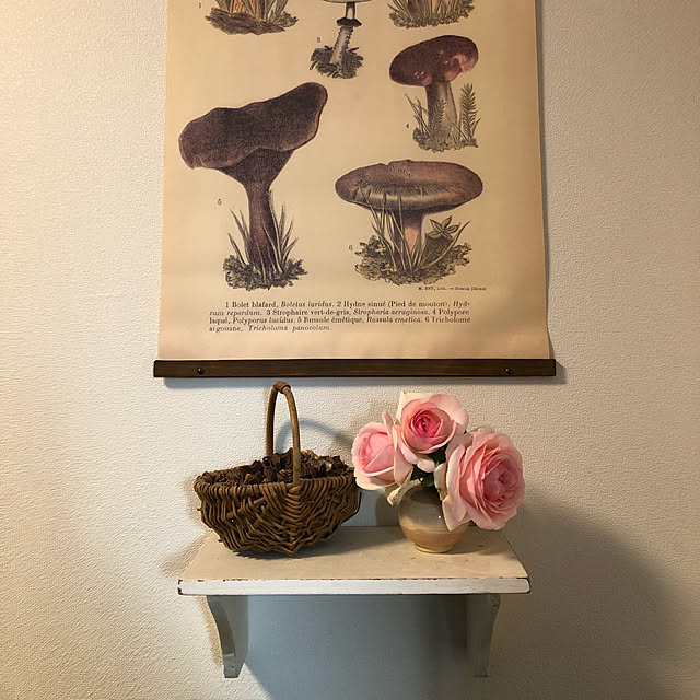 spitz8823さんの実例写真