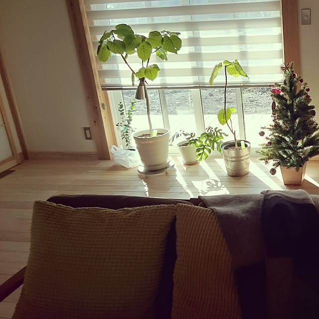sunさんの実例写真