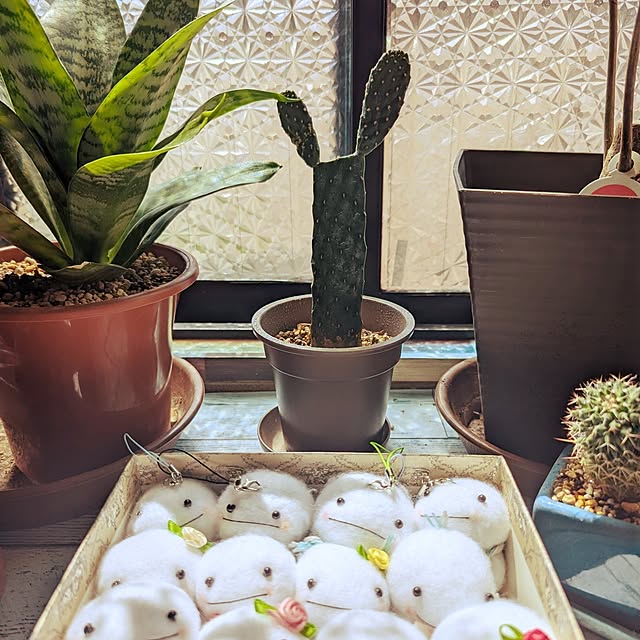 hiroさんの部屋