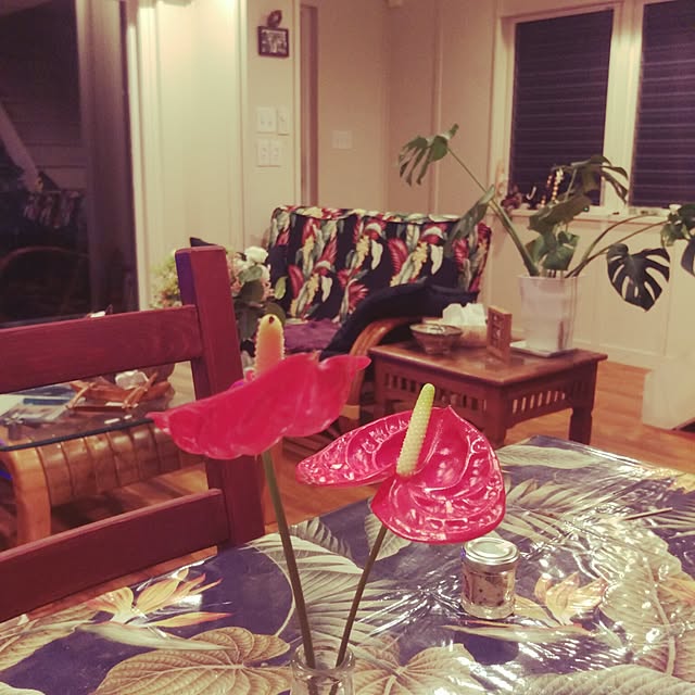 HAWAII-LIFE.さんの実例写真
