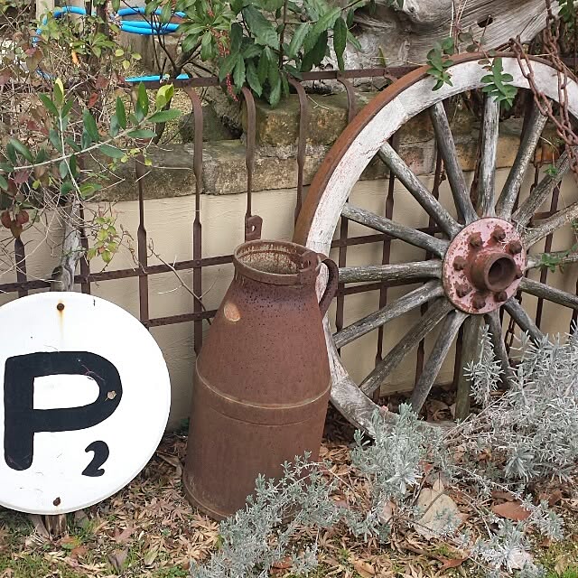 実例写真